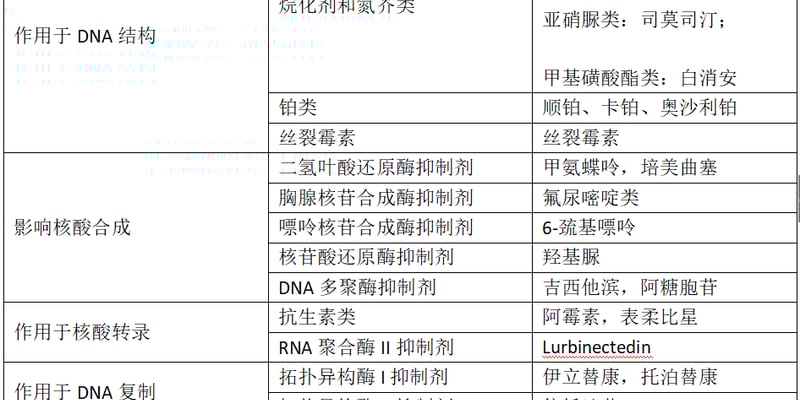 抗肿瘤药物七大分类深度解析：靶向药、免疫治疗、ADC药物与最新治疗方案
