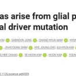 颠覆性发现：IDH突变型胶质瘤（青年脑癌）起源揭秘，指引早期诊断与防复发策略