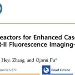 癌症治疗新希望：青岛大学自驱动纳米反应器，如何实现精准打击与高效抗癌？