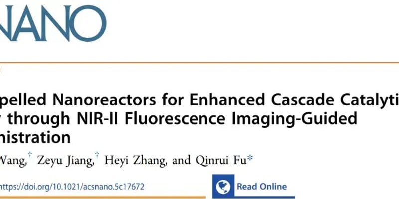 癌症治疗新希望：青岛大学自驱动纳米反应器，如何实现精准打击与高效抗癌？