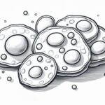 来那度胺皮下注射新突破：多发性骨髓瘤治疗更高效、副作用更低？