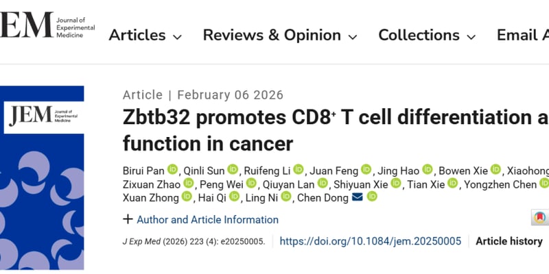 西湖大学董晨团队重大突破：揭秘Zbtb32如何增强CD8+T细胞抗癌力，为免疫治疗带来新希望