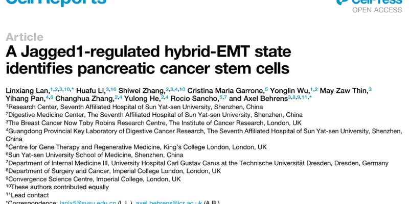 胰腺癌治疗新突破：揭秘恶性肿瘤难治根源，Jagged1通路或成新希望