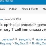 皮肤抗癌新希望：西湖大学《Cell》揭示免疫“哨兵”新机制，或影响癌症治疗