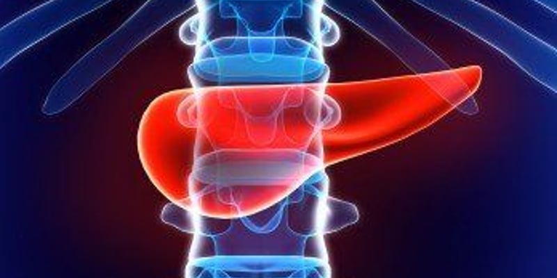 胰腺癌新辅助治疗突破：纳武利尤单抗联合FOLFIRINOX深度解析与用药指南