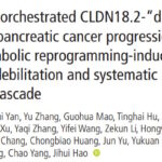 胰腺癌CLDN18.2免疫治疗效果不佳？新研究揭秘“叛变”机制，有望逆转耐药