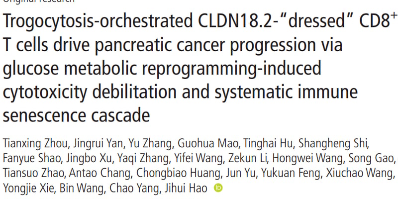 胰腺癌CLDN18.2免疫治疗效果不佳？新研究揭秘“叛变”机制，有望逆转耐药