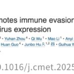 重磅研究：性生活竟能影响癌症免疫力、延长生存期？中国学者揭示背后的科学秘密