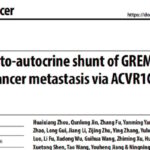 结直肠癌转移：GREM1-ACVR1C轴新机制与潜在靶向治疗前景