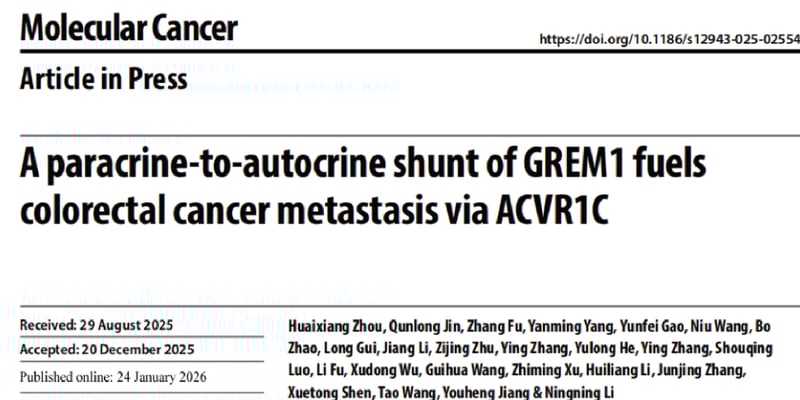 结直肠癌转移：GREM1-ACVR1C轴新机制与潜在靶向治疗前景