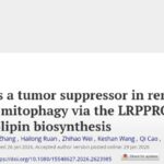 肾细胞癌治疗新希望：PRKAB2如何逆转靶向药耐药性？深入解读华中科技大学最新研究