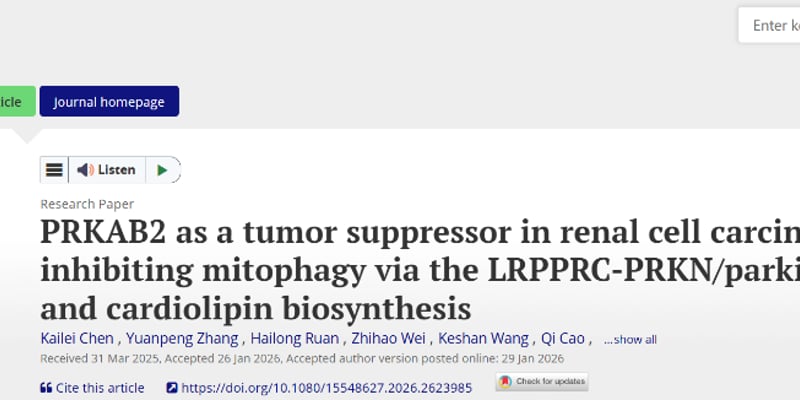 肾细胞癌治疗新希望：PRKAB2如何逆转靶向药耐药性？深入解读华中科技大学最新研究