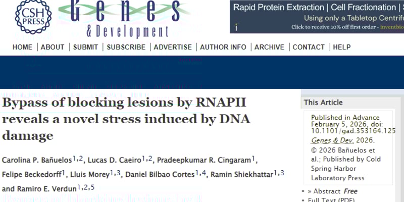 癌症化疗新突破！靶向p300让癌细胞“自毁”，逆转铂类耐药