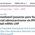 胰腺癌治疗迎来曙光？揭秘‘细胞因子鸡尾酒’如何精准打击顽固癌细胞