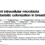 西湖大学Cell重磅：肿瘤内细菌如何决定癌症“冷热”？揭示乳腺癌免疫逃逸新机制
