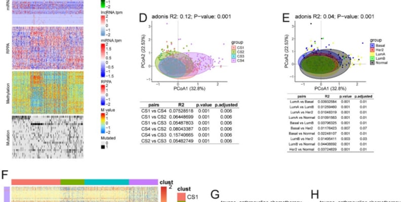 颠覆传统！乳腺癌代谢基因新分型，为患者解锁更精准治疗方案