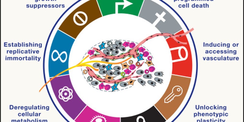 《Cell》重磅更新：癌症标志新框架，全面揭示肿瘤发生发展与未来抗癌方向