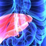 PLT012获FDA快速通道：晚期肝癌治疗迎来代谢免疫新突破，机制、临床与未来展望