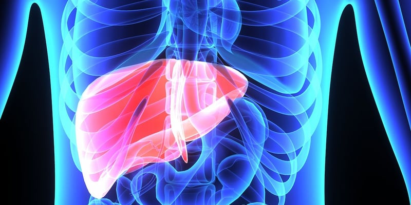 PLT012获FDA快速通道：晚期肝癌治疗迎来代谢免疫新突破，机制、临床与未来展望