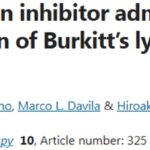 伯基特淋巴瘤治疗新突破：CAR-T联用TAK-981，小鼠模型治愈率高达80%！