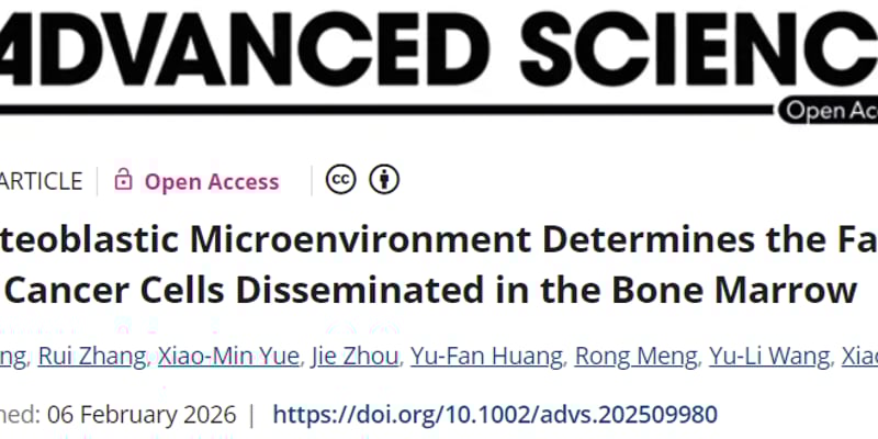 乳腺癌骨转移的“潜伏者”：新研究揭示骨微环境如何决定癌细胞命运与治疗新希望