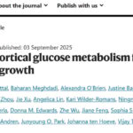 颠覆认知！胶质母细胞瘤“饥饿疗法”新进展：《Nature》揭示丝氨酸代谢，饮食干预有望提升放化疗效果