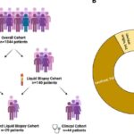肛门鳞状细胞癌治疗迎来新曙光：液体活检助力精准靶向用药，跨境购药选择多