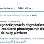 逆转光动力治疗耐药新策略：纳米靶向递送与PROTAC联用，乳腺癌、黑色素瘤患者迎来新希望