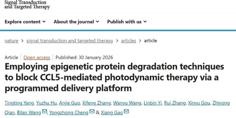 逆转光动力治疗耐药新策略：纳米靶向递送与PROTAC联用，乳腺癌、黑色素瘤患者迎来新希望