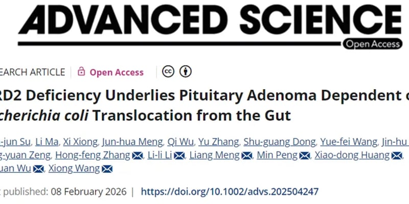 垂体腺瘤新发现：肠道细菌竟是幕后推手？DRD2缺陷与大肠杆菌易位机制揭秘