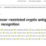 “癌症之王”胰腺癌治疗重大突破！《Science》揭示“隐秘弱点”，带来精准杀癌新策略与希望！