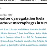 Nature重磅：肺癌免疫治疗为何常失效？肿瘤“改造”免疫细胞机制揭秘，新疗法有望逆转！
