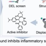 2026年1月Cell期刊医学突破：不孕症、自身免疫病与癌症新希望深度解析