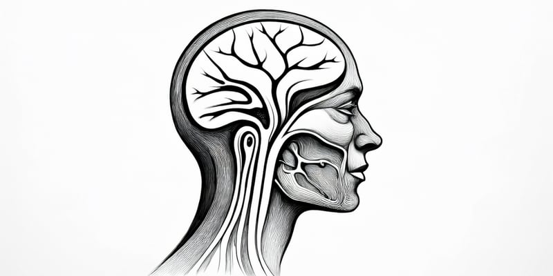 纳武利尤单抗联合放化疗治疗高危HPV阳性口咽癌：最新临床研究深度解读与患者指南