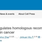 奥拉帕利耐药难题有解？RAD51琥珀酰化揭示癌症治疗新方向