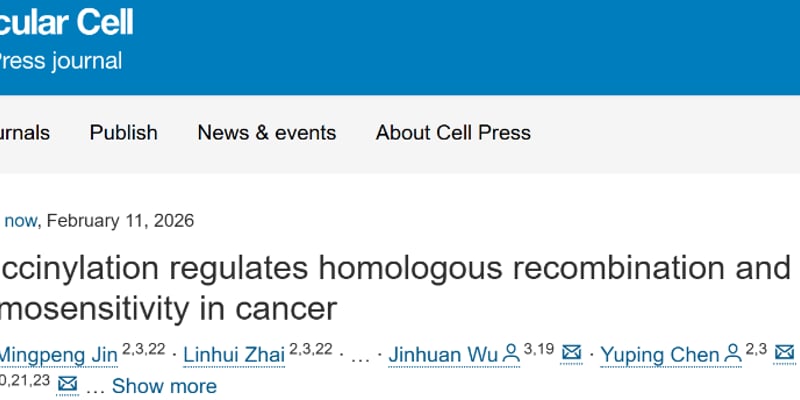 奥拉帕利耐药难题有解？RAD51琥珀酰化揭示癌症治疗新方向
