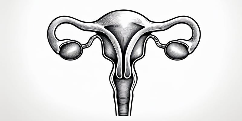 卵巢癌新希望：Elenagen联合吉西他滨，铂耐药患者OS显著改善（附机制与安全性）