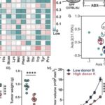 肠道菌群“偷吃”天冬酰胺，竟影响癌症免疫治疗？结直肠癌新发现与个性化饮食疗法