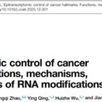 颠覆性抗癌新思路：RNA修饰如何影响癌症，以及未来靶向治疗前景