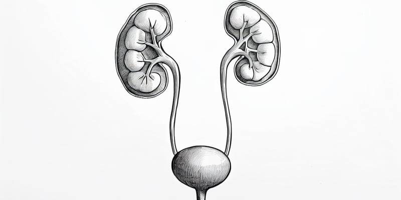 ASCO更新前列腺癌治疗指南：前线联合方案、基因检测及骨保护深度解读