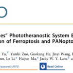 三阴性乳腺癌治疗新突破：‘全能型’光诊疗系统如何精准激活铁死亡与PANoptosis