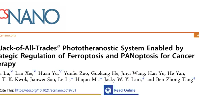 三阴性乳腺癌治疗新突破：‘全能型’光诊疗系统如何精准激活铁死亡与PANoptosis