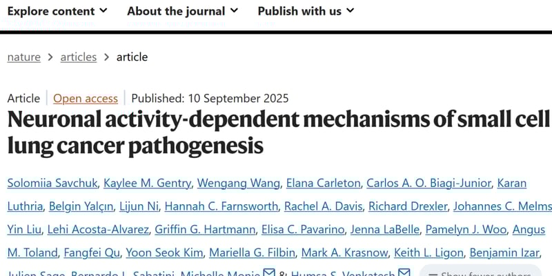 小细胞肺癌（SCLC）脑转移新突破：Nature揭示癌细胞“劫持”大脑通信，治疗迎来转机