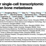 骨转移瘤治疗新突破：Cell子刊重磅研究揭示免疫疗法优化新方向