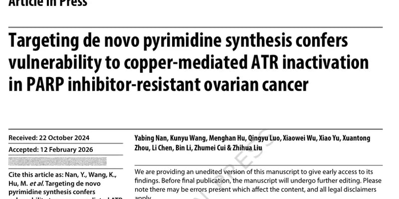 卵巢癌PARP抑制剂耐药有新解！铜离子联合疗法重燃治疗希望