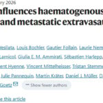 癌症转移新发现：肿瘤细胞“黏度”如何成为扩散与治疗的关键靶点？