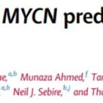 MYCN基因微重复：解密儿童神经母细胞瘤与肾母细胞瘤的遗传密码，家族筛查与早防早治新希望