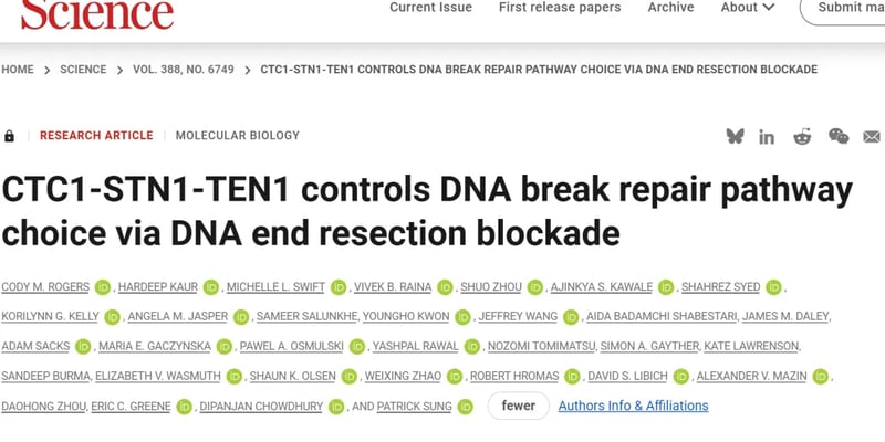 直击癌症耐药新希望：CST复合体如何调控DNA修复，为BRCA1突变患者带来治疗新机
