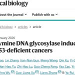 TDG抑制剂C-271：p53突变癌的“新克星”？精准靶向激活免疫