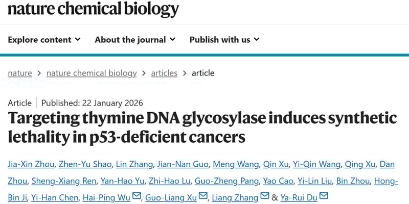 TDG抑制剂C-271：p53突变癌的“新克星”？精准靶向激活免疫